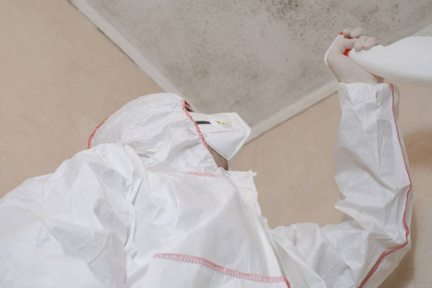 Best Residential Mold Remediation in Newstle, CA