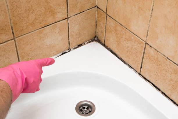 Best Bathroom Mold Remediation in Newstle, CA